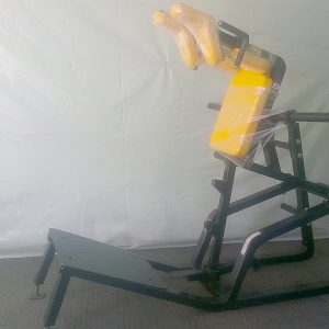 Sentadilla Invertida