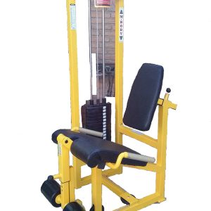 Leg Extensión 1