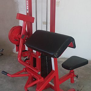 Bicep Tricep 75kg. Normal