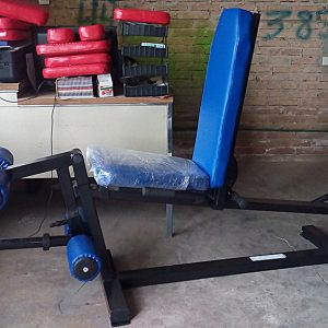 Femoral Extensión Peso Libre