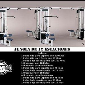 Jungla 12 Estaciones