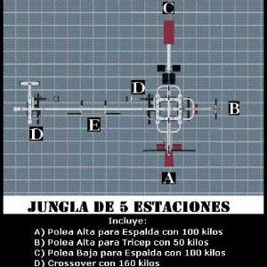 Jungla 5 Estaciones