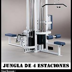 Jungla Torre 4 Estaciones