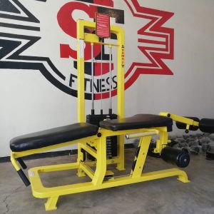 Extencion, femoral Normal