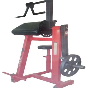 BICEP,TRICEP PESO LIBRE