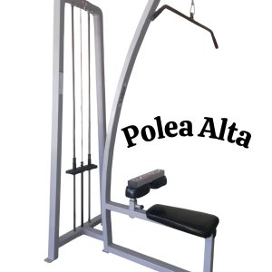 Polea Alta 100Kg